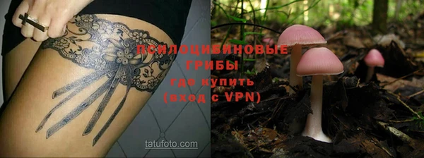 mdpv Иннополис