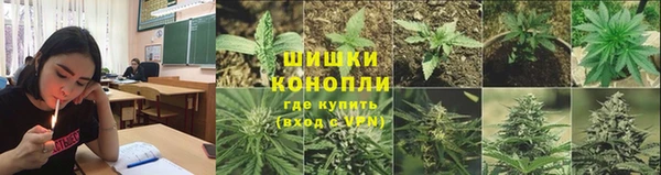 mdpv Иннополис